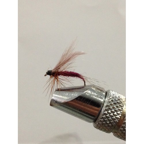 AQUA EMERGER CLARET DA040 AMO 14