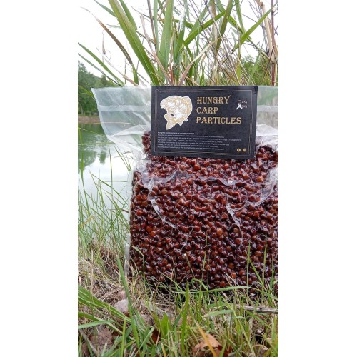 HUNGRY CARP PARTICLES BACCHE D'ACERO COTTE NATURALI 1 KG.